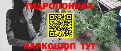 прущие грибы Рыбинск