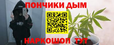 прущие грибы Рыбинск