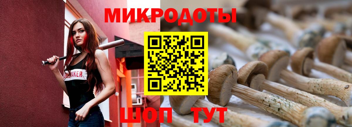Галлюциногенные грибы Psilocybine cubensis  Вход с VPN  Серпухов 